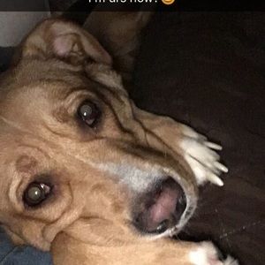 Meet your Posher, Jeff